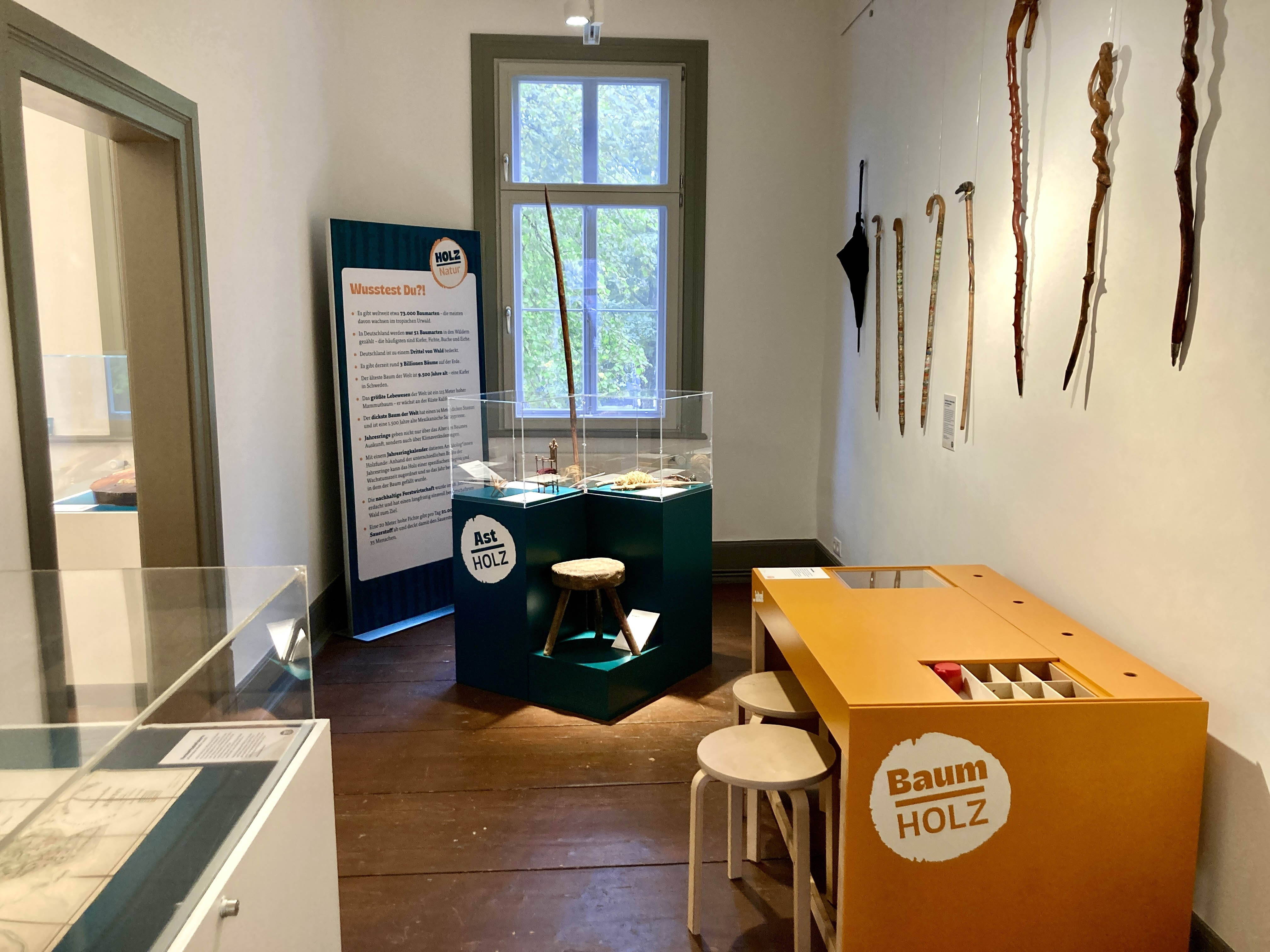 Blick in einen Ausstellungsraum. Rechts an der Wand hängen merkwürdig geformte Spazierstöcke. Darunter ein orangener Tisch mit der Aufschrift BaumHolz. Im Hintergrund Haubenvitrinen in dunklem grünbblau mit der Aufschrift AstHolz.