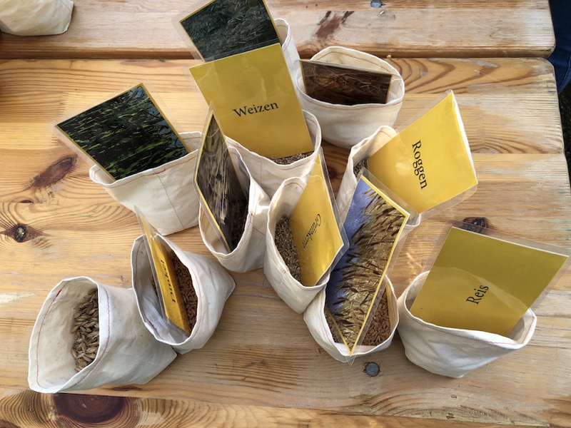 Auf einem Holztisch stehen mehrere offene Säckchen mit unterschiedlichen Getreidekörnern gefüllt. In den Körner stecken Karten, auf die der Name des Getreides und rückseitig ein Bild der Pflanze gedruckt ist